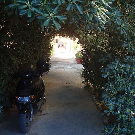 Adonis Beach Hotel Kandiye Dış mekan fotoğraf