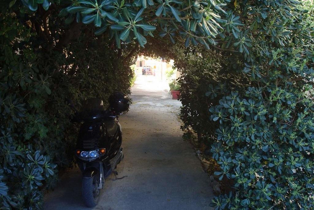 Adonis Beach Hotel Kandiye Dış mekan fotoğraf