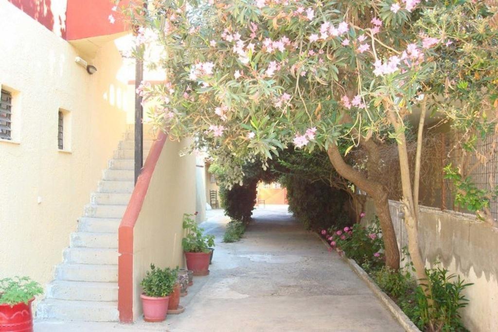 Adonis Beach Hotel Kandiye Dış mekan fotoğraf
